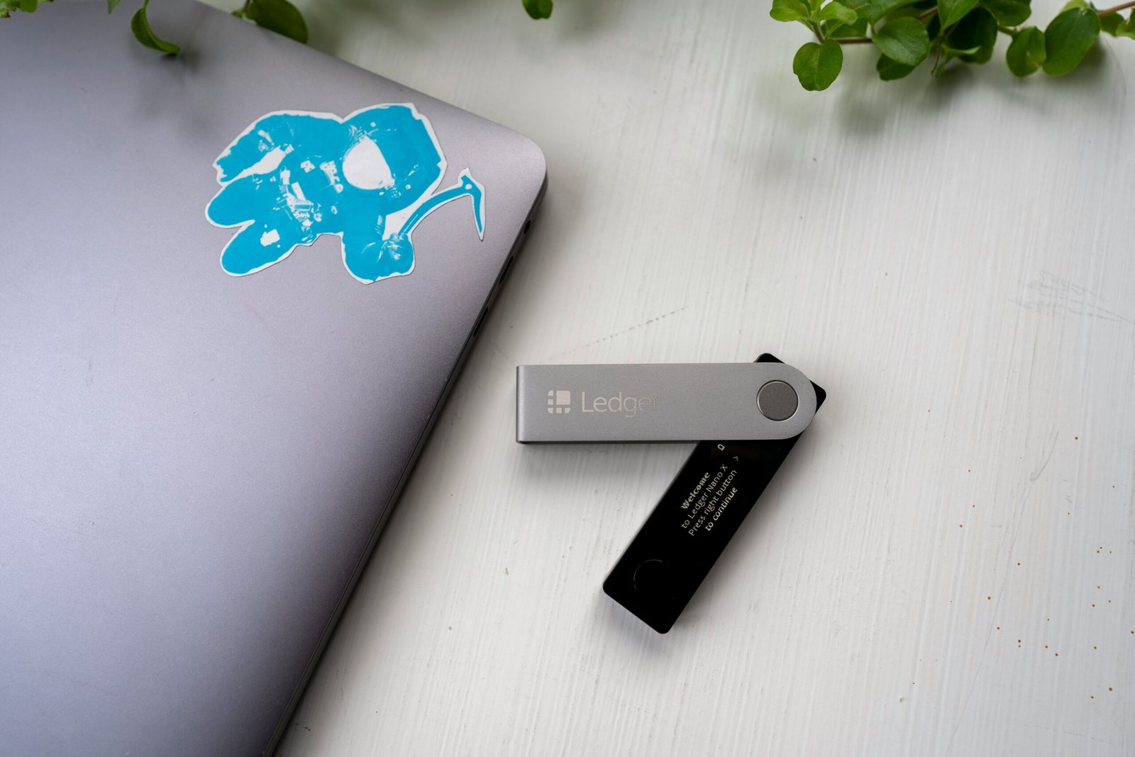 Ledger.com: The Leading Hardware Wallet