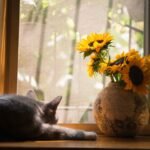 Simple Arrangements That Add Life to Any Space