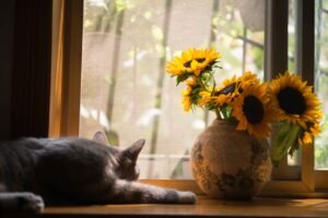 Simple Arrangements That Add Life to Any Space
