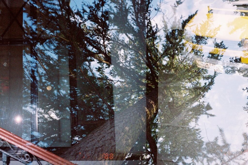 Top Reasons to Use Frosted Window Film Today