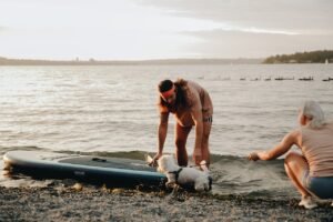 What to Ask Before Booking Dog Boarding Services