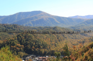Top Travel Tools That Help You Plan the Perfect Scenic Trip