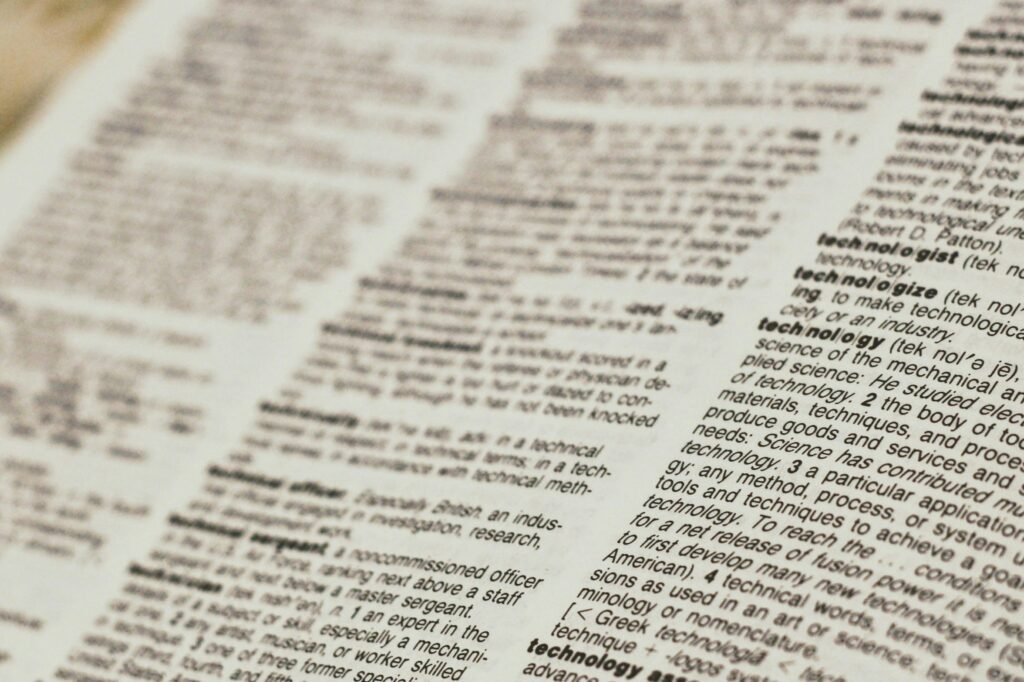 Ins Meaning, Function, and Future
