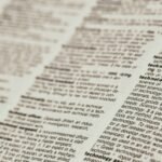 Ins Meaning, Function, and Future