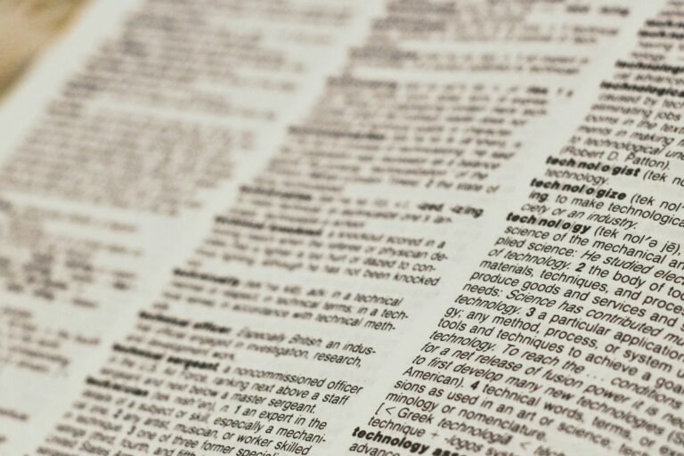 Ins Meaning, Function, and Future