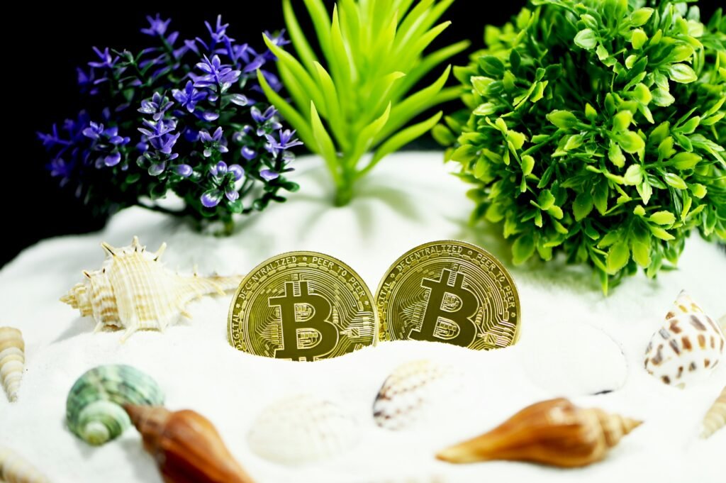 James Howells bitcoin landfill search
