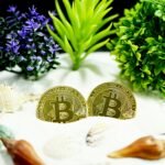 James Howells bitcoin landfill search