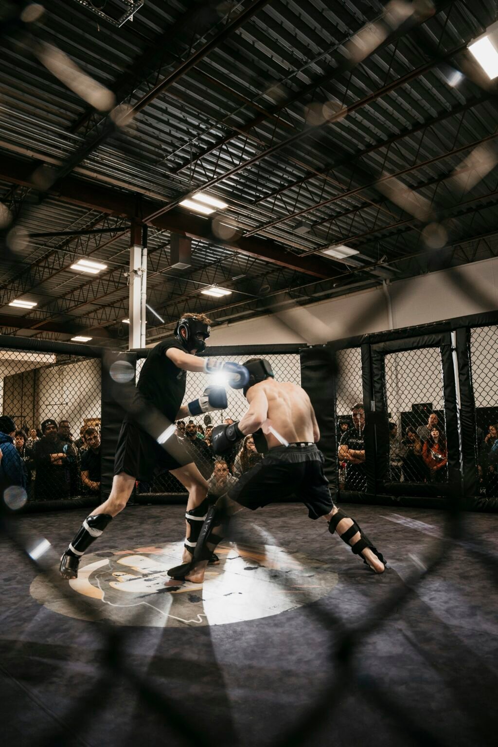 Tapology The Ultimate MMA Resource