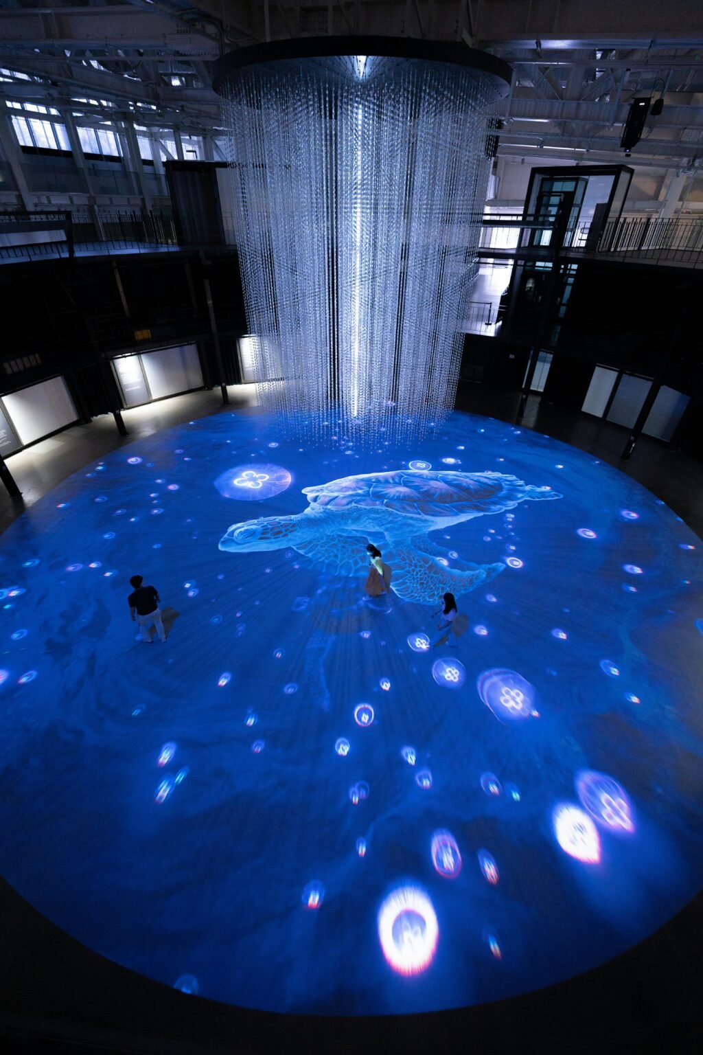 Fonendi The Fusion of Sound and Digital Experience in Technology