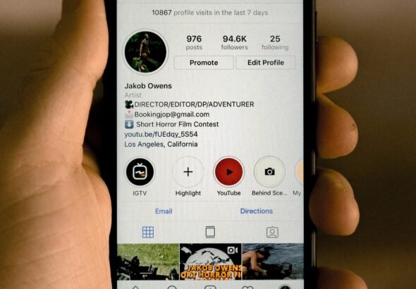 Insnoop tool interface showing anonymous Instagram story viewing on a smartphone screen
