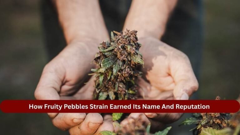 How Fruity Pebbles Strain Earned Its Name And Reputation