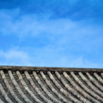 How Upgraded Roofs Can Boost Commercial Property Appeal and Revenue