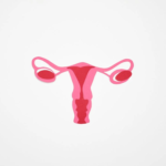 What Factors Commonly Influence Long-Term Uterine Health Outcomes