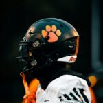 Detroit lions vs minnesota vikings match player stats