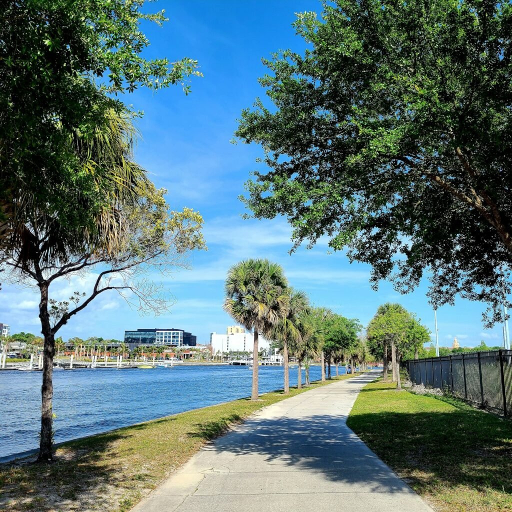 10 Best Things to Do in Tampa, Florida