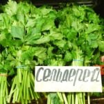 Pravi Celer Health Benefits, Nutrition Facts, and Daily Uses