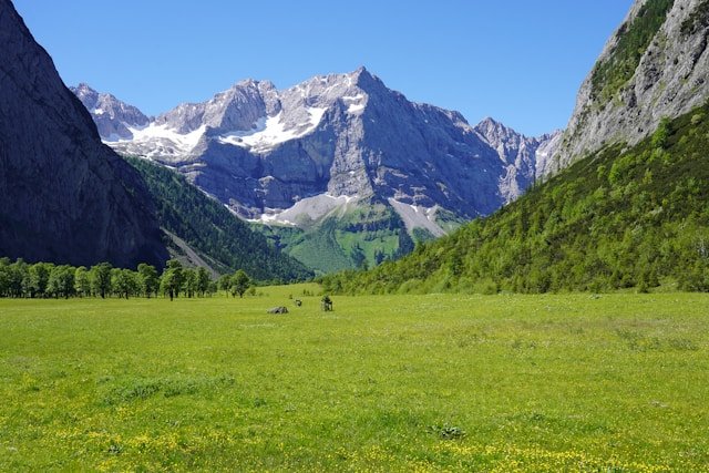 Aurö Understanding the ausschuss für umwelt- und ressourcenökonomie (aurö)