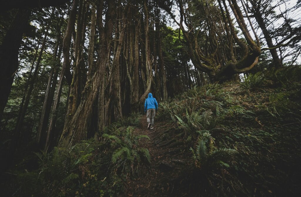 Do You Need a Passport to Travel to Hawaii?