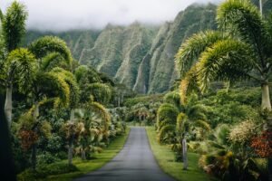 Do You Need a Passport to Travel to Hawaii?