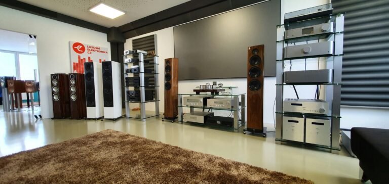 Best Buy went from local Hi-Fi store to the S&P500