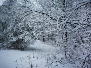 Snowhiter A Journey Through Snow-Covered Landscapes