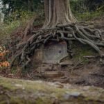 Teren Cill The Hidden Realm of Nature and Lore