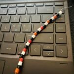 Serlig the Scandinavian Word