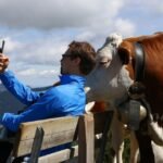 Roasts The Art of Crafting Clever Insults That Hit Home