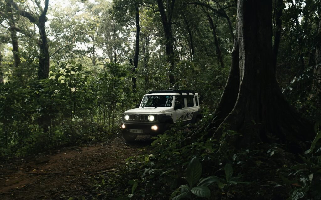 Costa Rica jungle river full during wet season