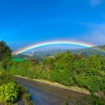 Monteverde Cloud Forest 2026