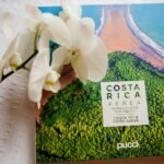 Best Time to Visit Costa Rica (2026 Complete Guide by Month, Budget, Weather & Activities)