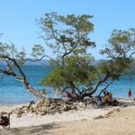 Costa Rica dry season Guanacaste beach Tamarindo sunny January